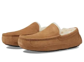 UGG Ascot