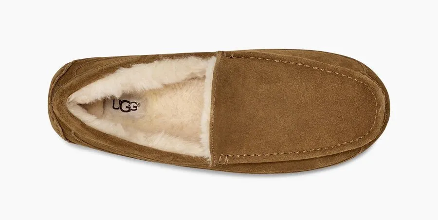 UGG Men's Ascot