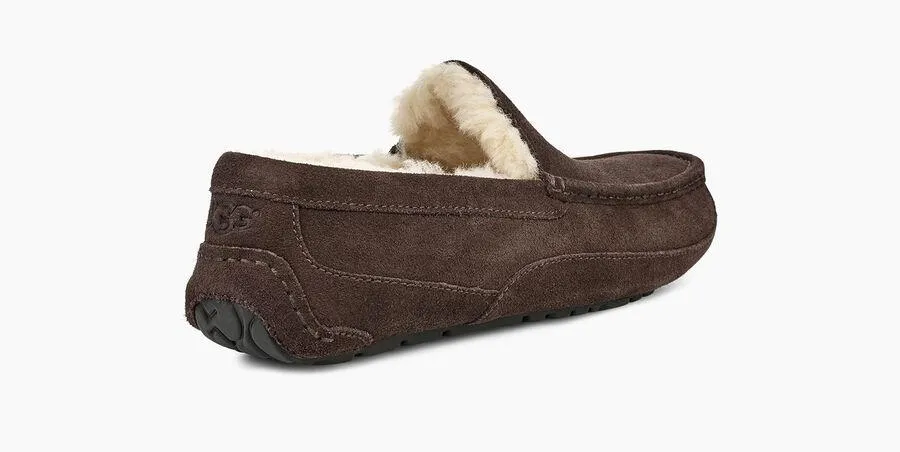 UGG Men's Ascot