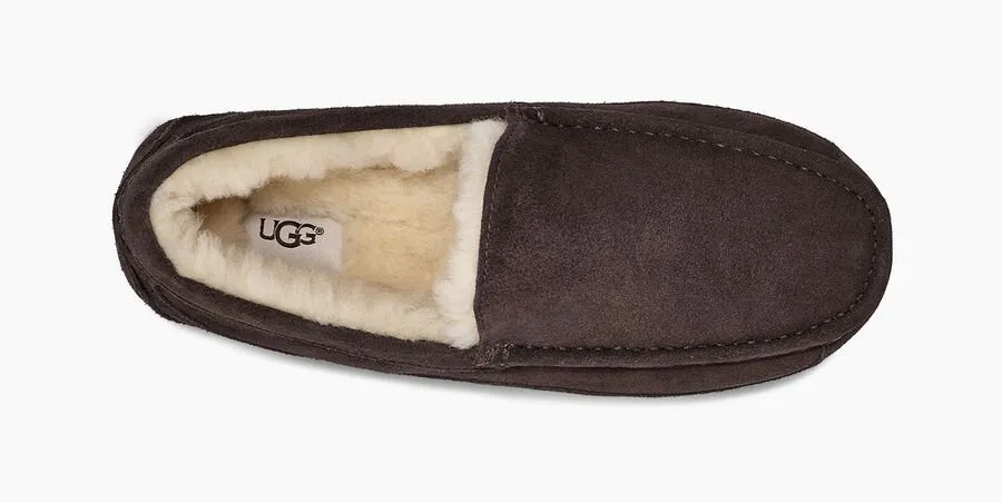 UGG Men's Ascot