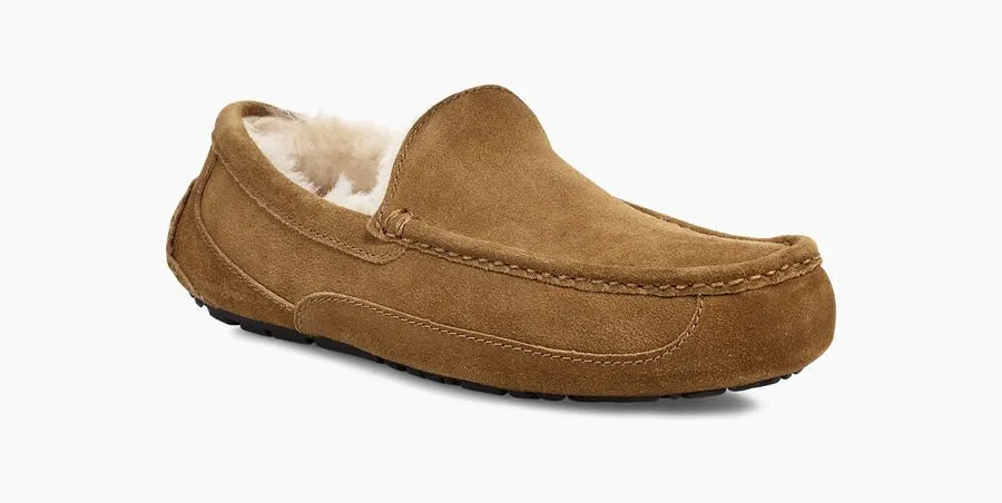 UGG Men's Ascot